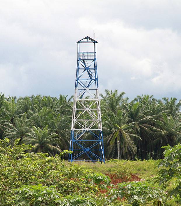 Bakrie Sumatera Plantation