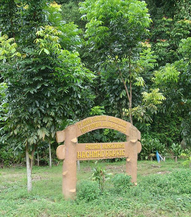 Bakrie Sumatera Plantation