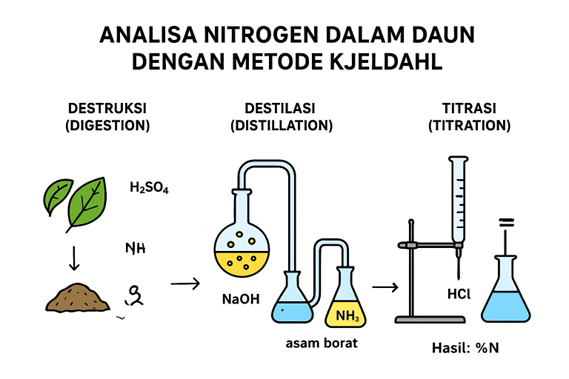 ANALISA NITROGEN DALAM DAUN DENGAN METODE KJELDAHL: DARI TEKNIK KONVENSIONAL HINGGA METODE MODERN
