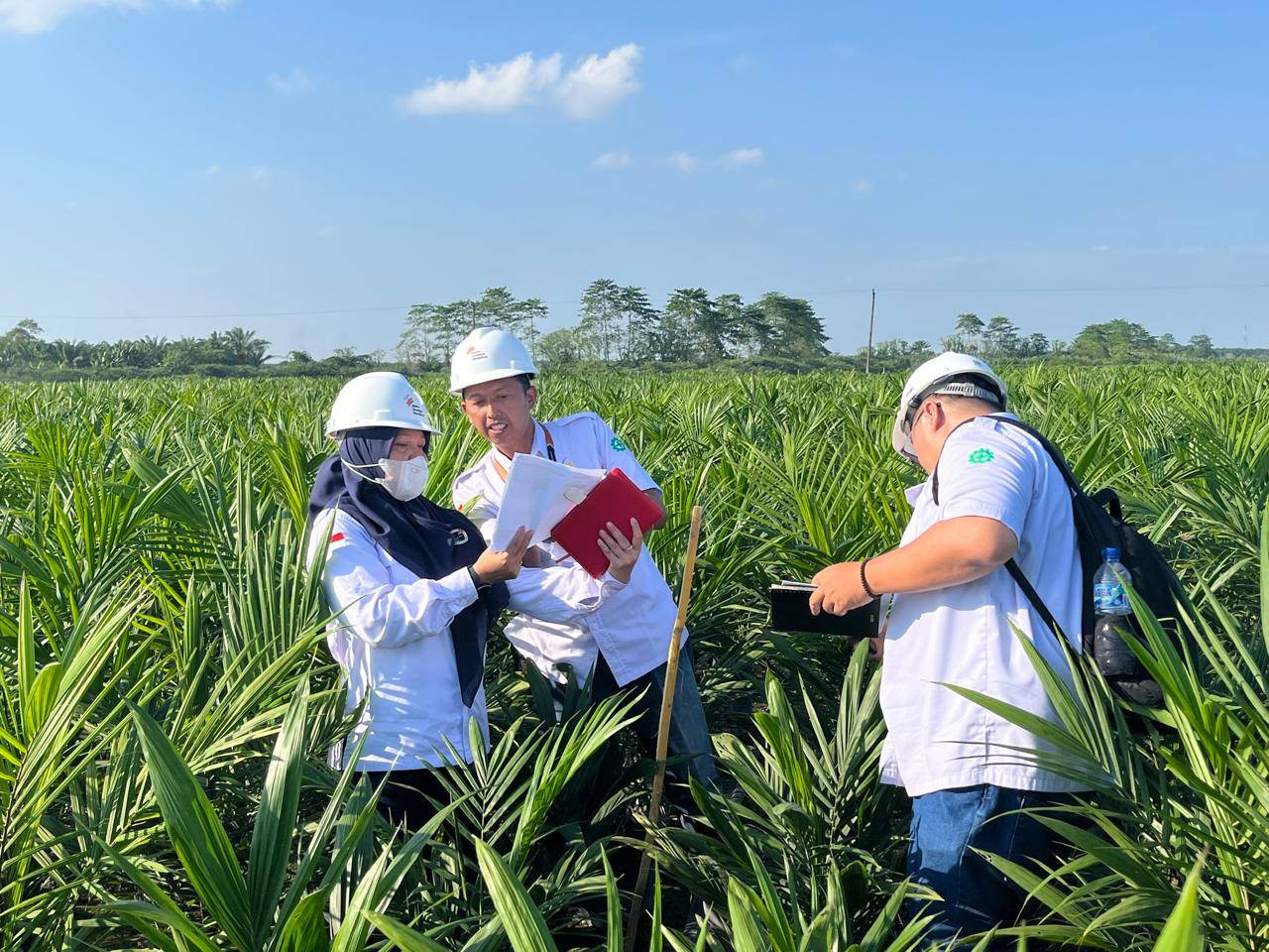 PENTINGNYA MANAJEMEN DATA DALAM MENINGKATKAN PRODUKTIVITAS PERKEBUNAN KELAPA SAWIT