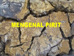 PEMETAAN KANDUNGAN PIRIT DALAM TANAH MENGGUNAKAN SISTEM INFORMASI GEOGRAFIS (SIG)