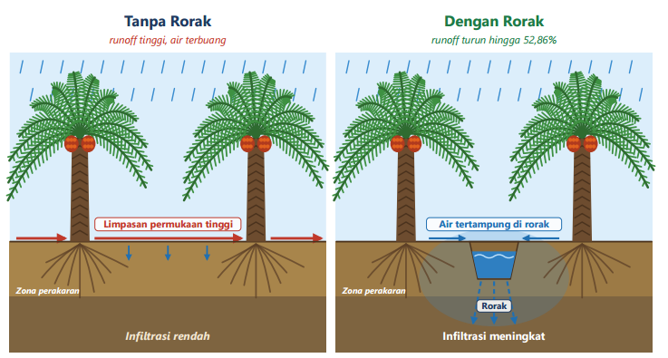 TATA AIR SEBAGAI KUNCI PEMULIHAN PRODUKTIVITAS KELAPA SAWIT PASCA KEMARAU: Strategi Water Management pada Lahan Mineral dan Gambut